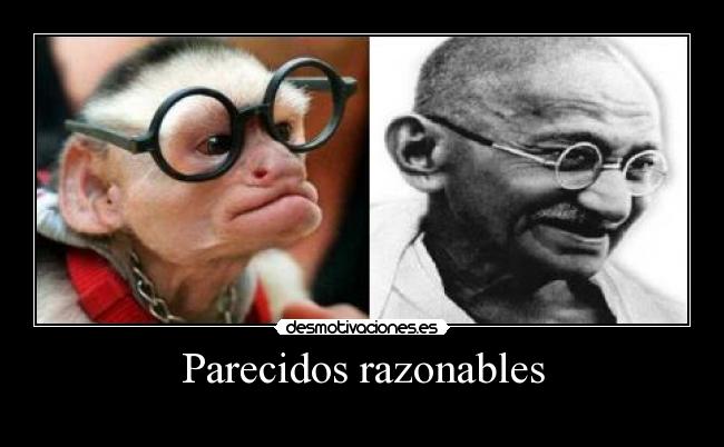 carteles parecidos razonables desmotivaciones