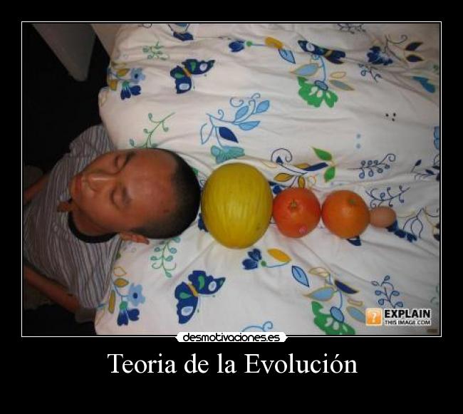 Teoria de la Evolución -