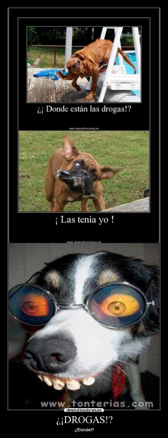¿¡DROGAS!? - ¿!Dónde!?
