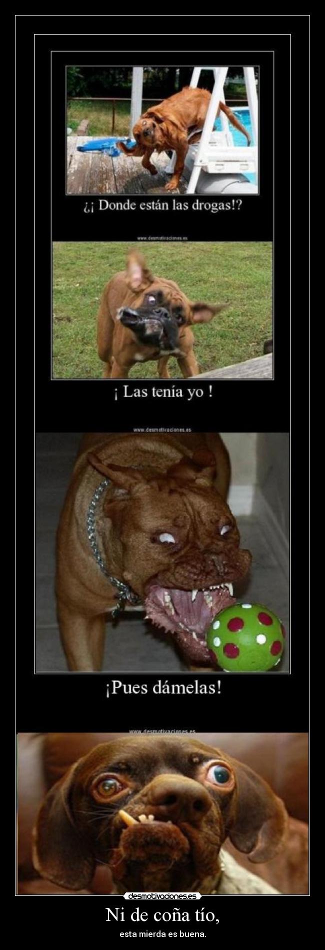 Ni de coña tío, - esta mierda es buena.