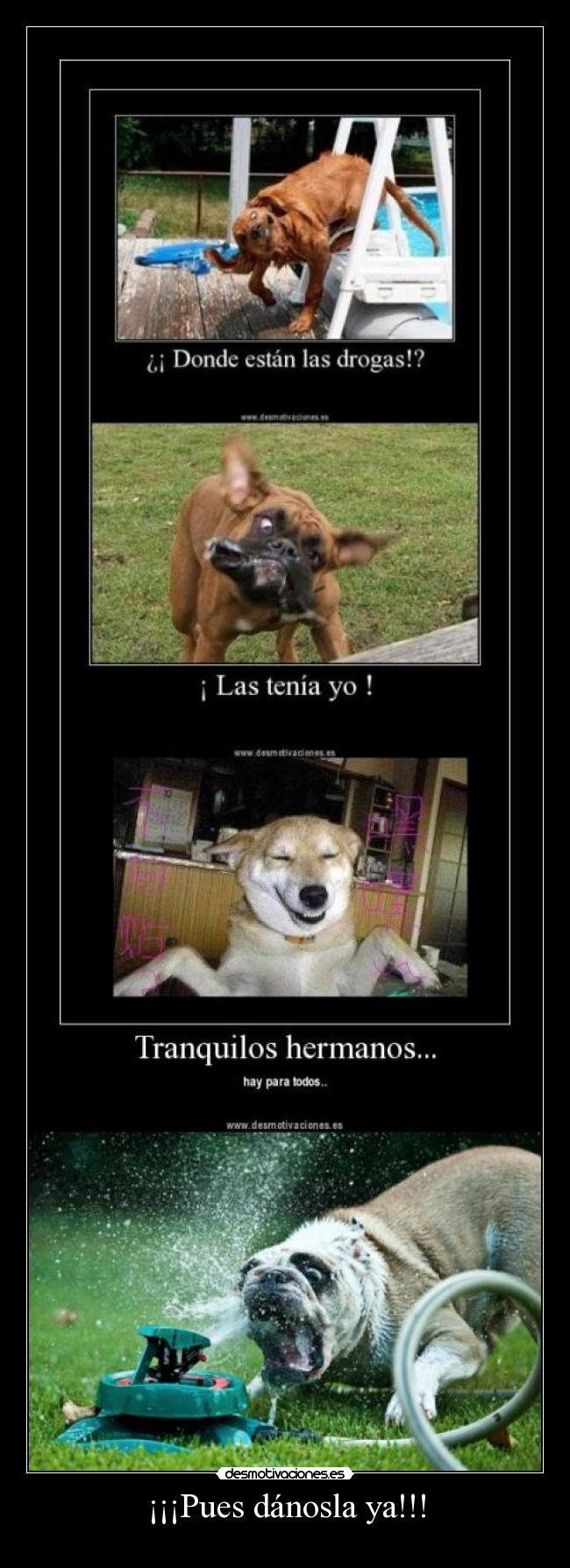 ¡¡¡Pues dánosla ya!!! - 