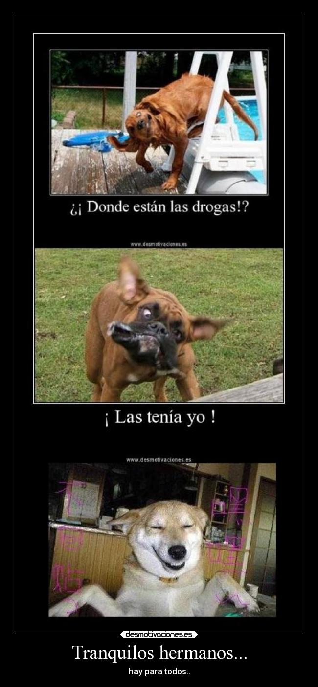 Tranquilos hermanos... - hay para todos..