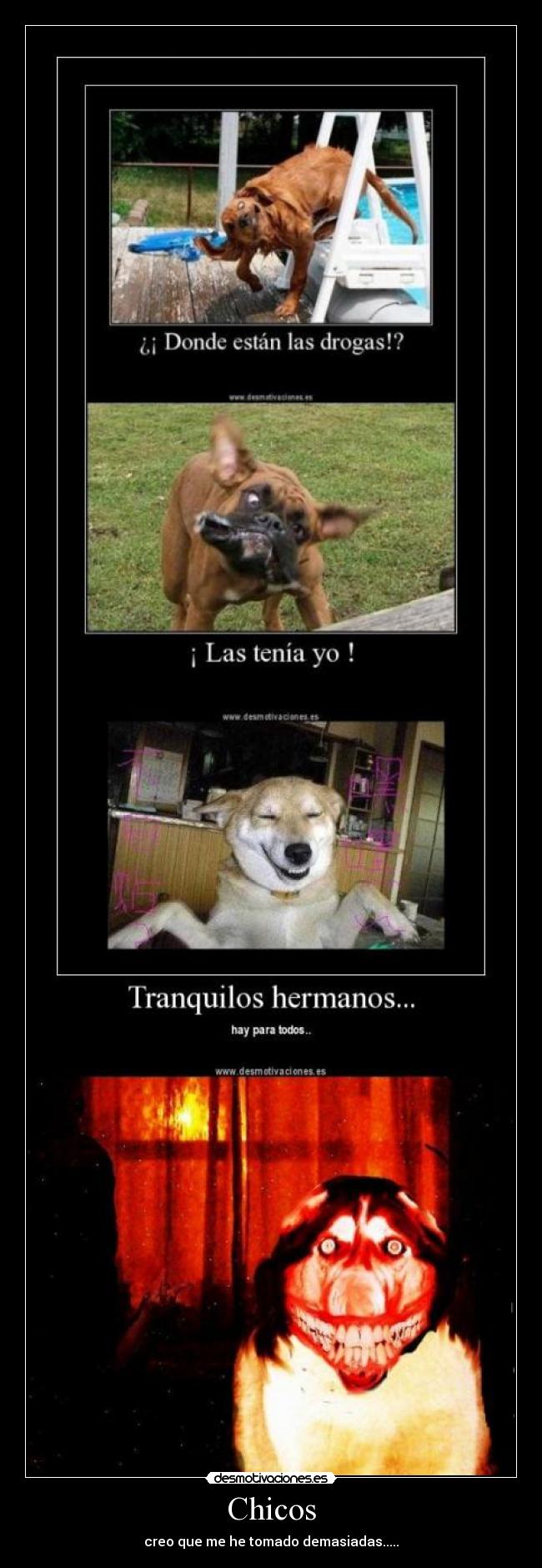 Chicos - creo que me he tomado demasiadas.....