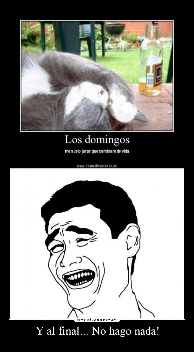 Y al final... No hago nada! -