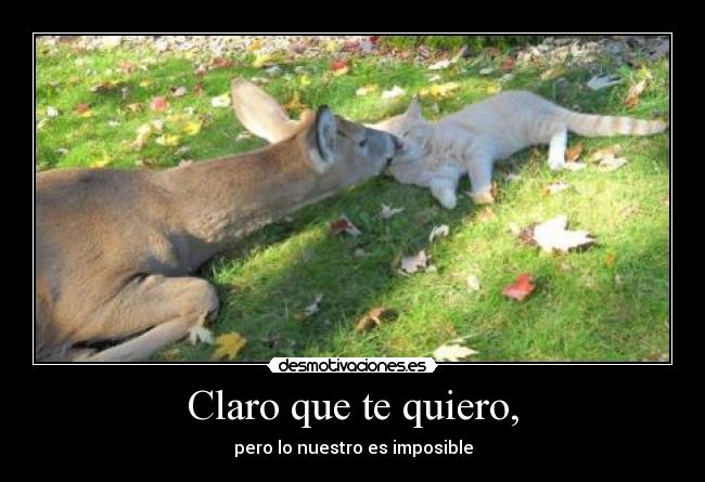 carteles claro que quiero desmotivaciones