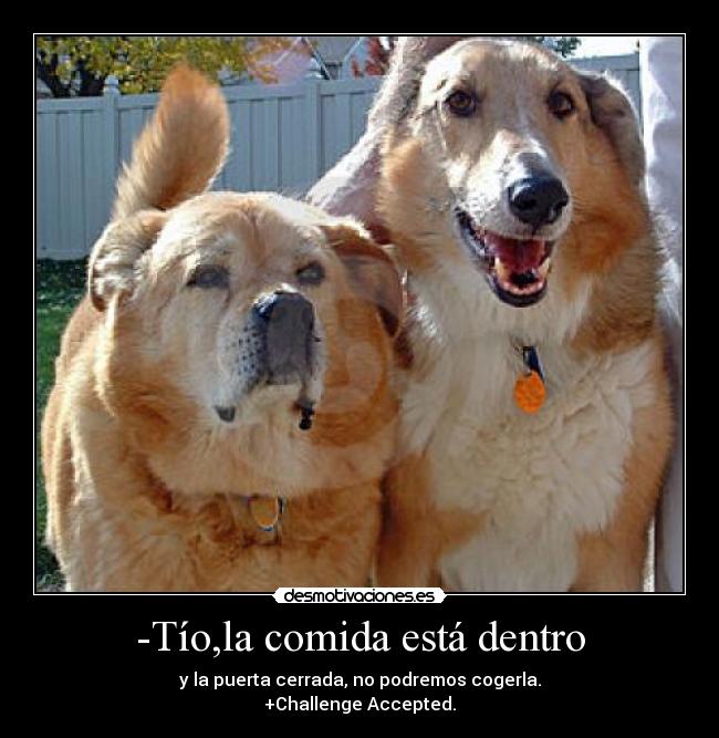 -Tío,la comida está dentro - 