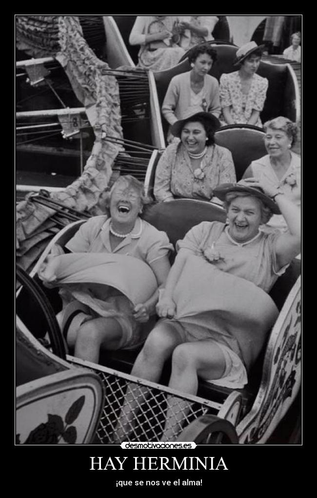 HAY HERMINIA - 