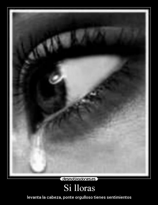 Si lloras - levanta la cabeza, ponte orgulloso tienes sentimientos