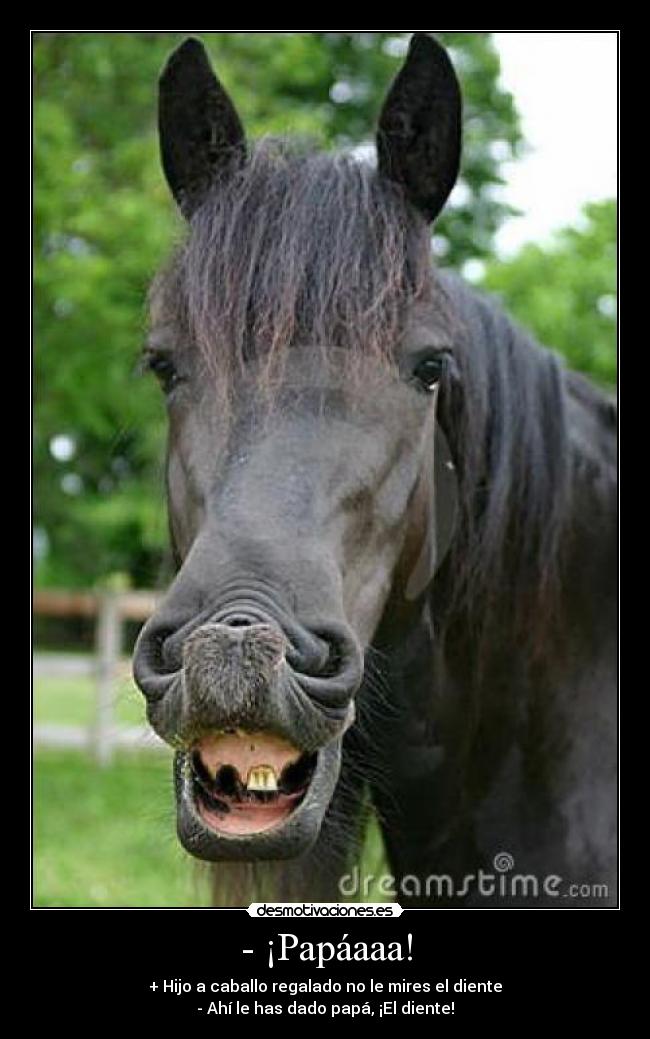 - ¡Papáaaa! - + Hijo a caballo regalado no le mires el diente
- Ahí le has dado papá, ¡El diente!