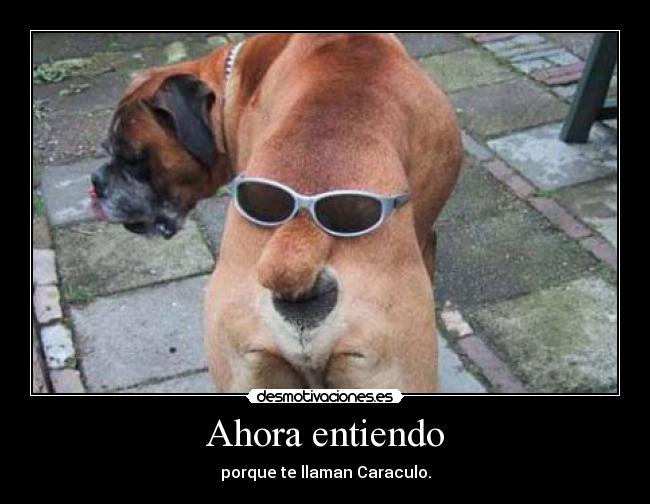 Ahora entiendo - porque te llaman Caraculo.