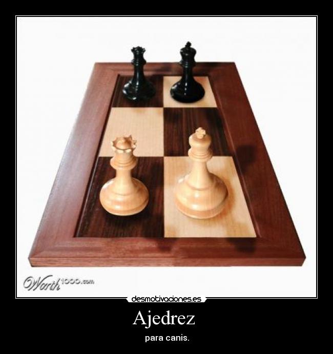 Ajedrez - para canis.