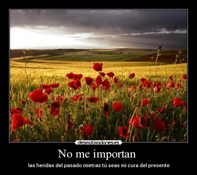 No me importan - las heridas del pasado mietras tú seas mi cura del presente