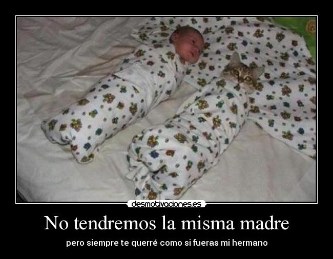 No tendremos la misma madre - pero siempre te querré como si fueras mi hermano