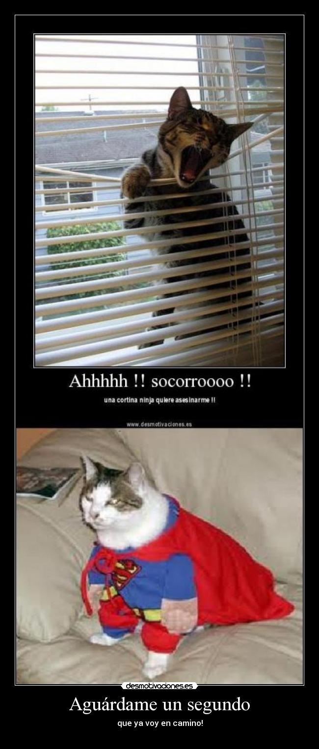 Aguárdame un segundo - que ya voy en camino!