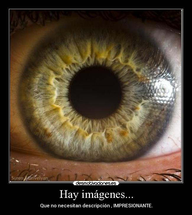 Hay imágenes... - 