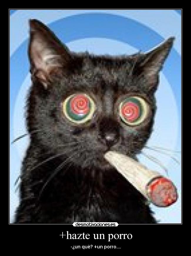 +hazte un porro - -¿un què? +un porro....