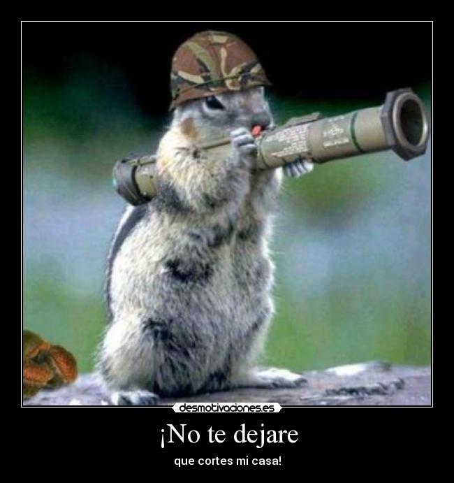¡No te dejare - 