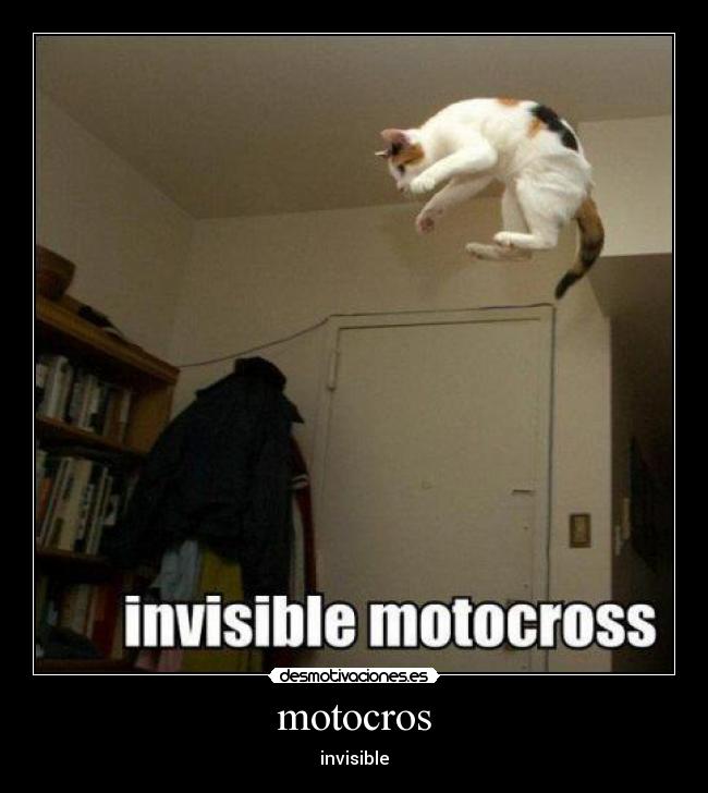 carteles motocros desmotivaciones