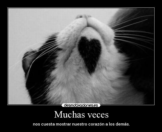 Muchas veces - 