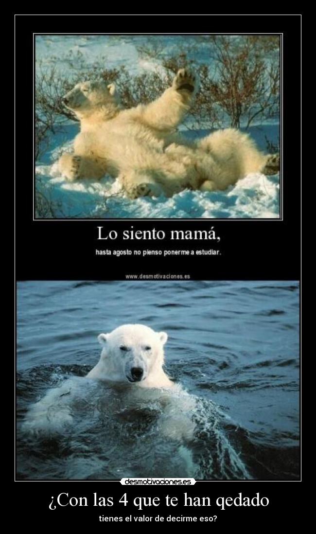 carteles maria desmotivaciones