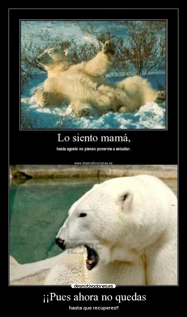 ¡¡Pues ahora no quedas -