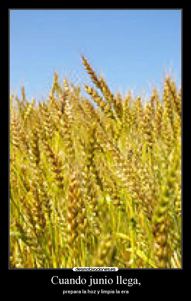 carteles cuando junio llega refran desmotivaciones