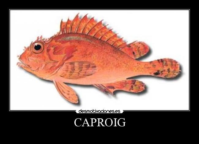 CAPROIG -