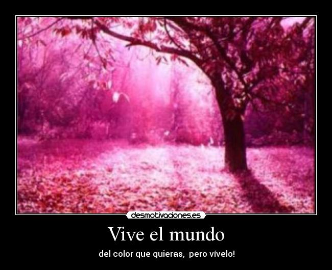 Vive el mundo - 