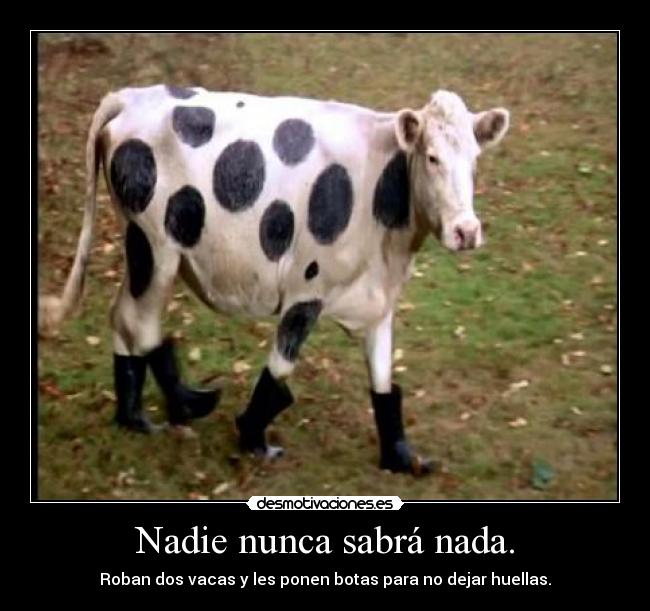 Nadie nunca sabrá nada. - 