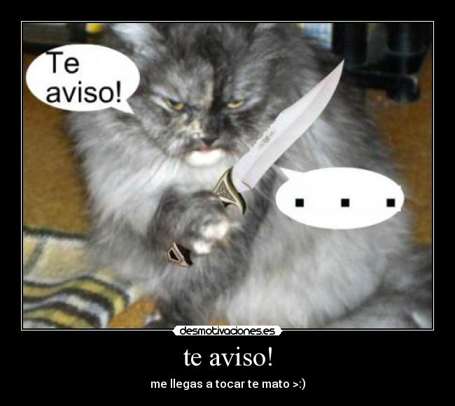 te aviso! - 