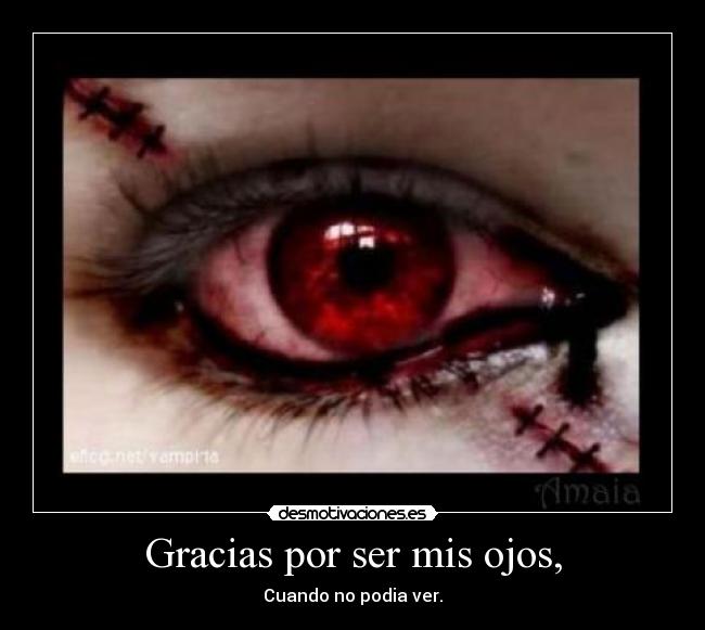 Gracias por ser mis ojos, - 