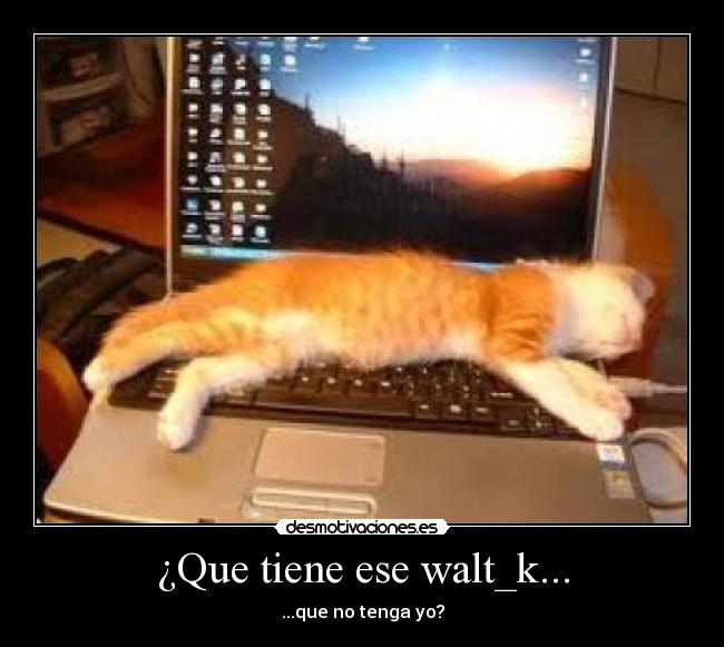 ¿Que tiene ese walt_k... -