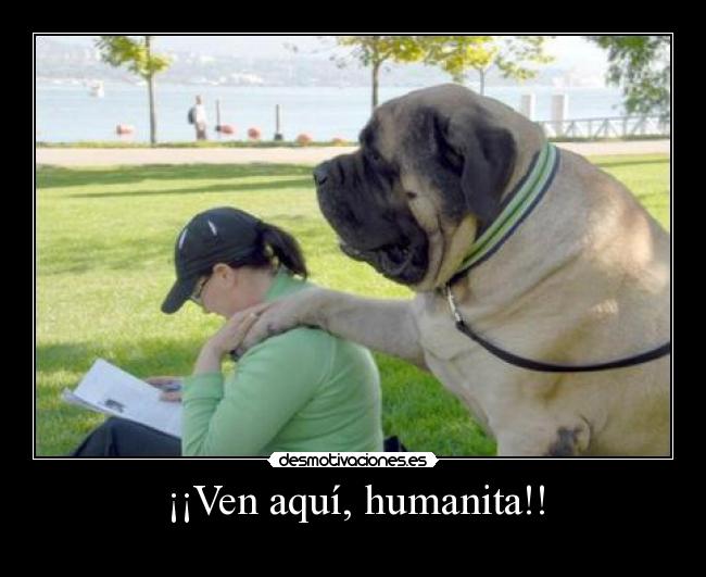 ¡¡Ven aquí, humanita!! - 