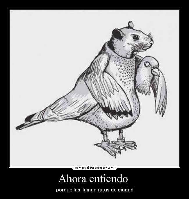 Ahora entiendo  - porque las llaman ratas de ciudad