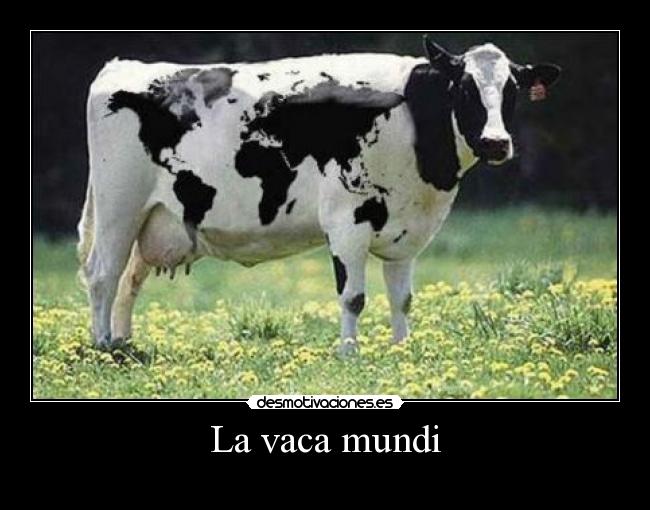 carteles vaca desmotivaciones