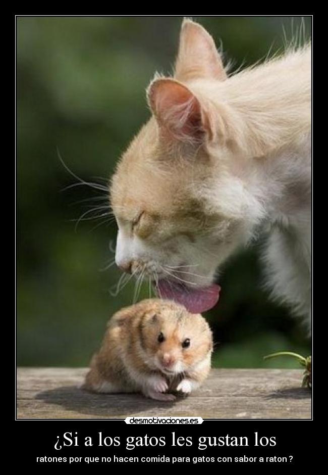 ¿Si a los gatos les gustan los - ratones por que no hacen comida para gatos con sabor a raton ?