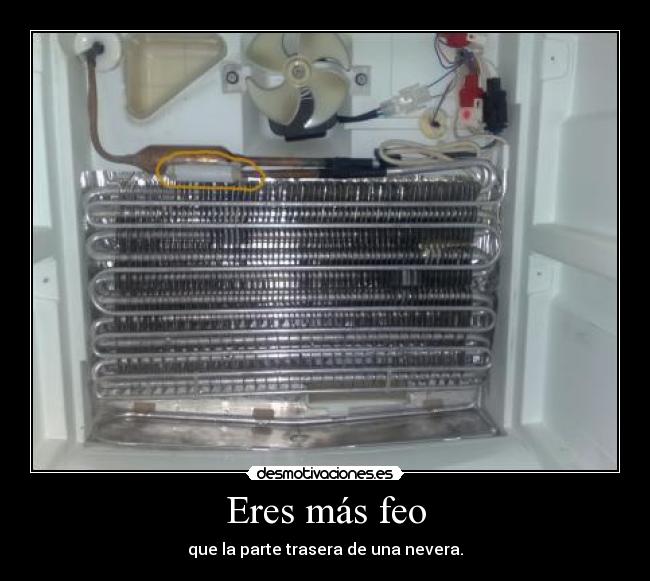 Eres más feo - que la parte trasera de una nevera.