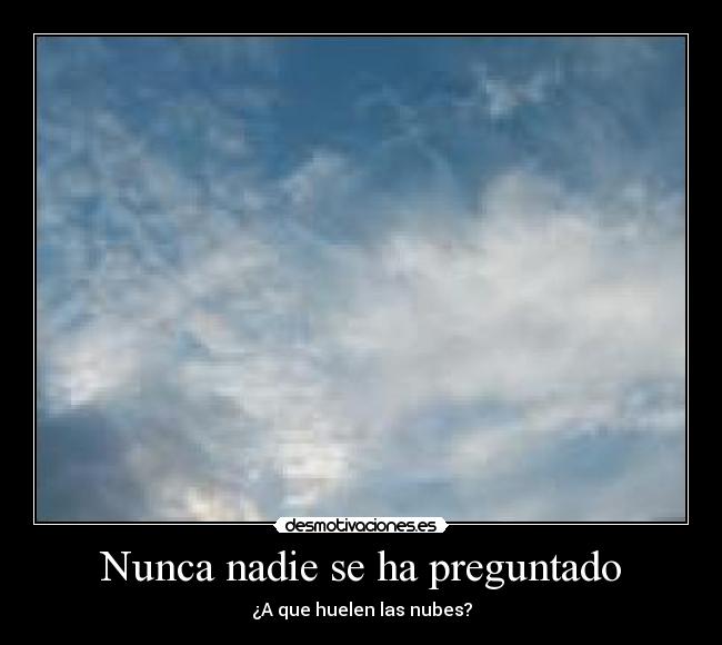 Nunca nadie se ha preguntado - 