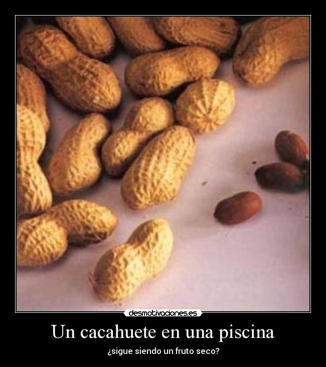 Un cacahuete en una piscina - ¿sigue siendo un fruto seco?