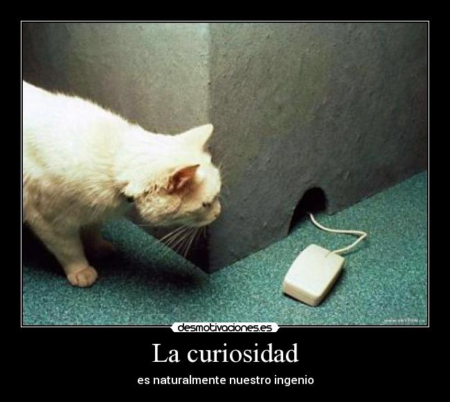 La curiosidad - 