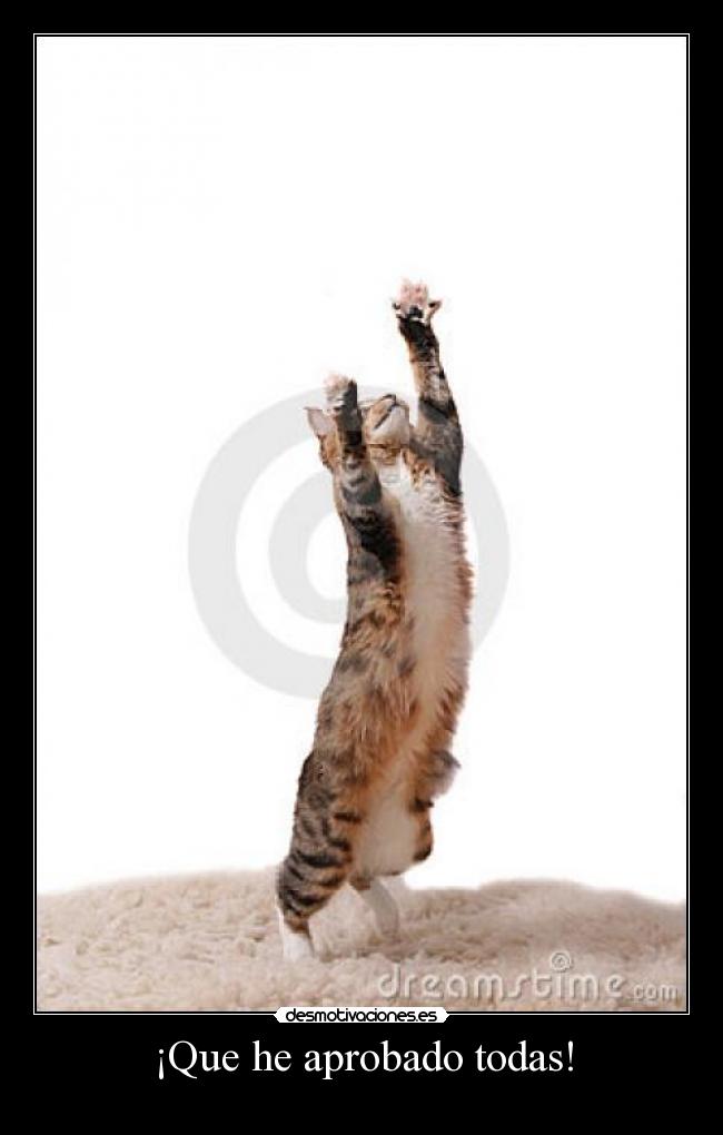 ¡Que he aprobado todas! -