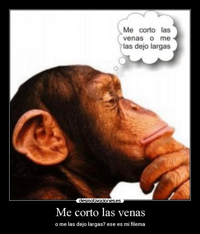 Me corto las venas - 