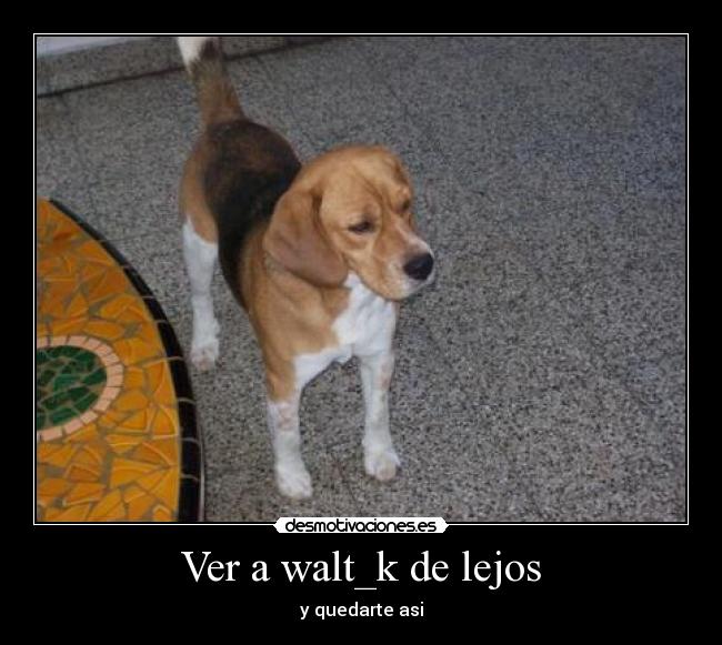 Ver a walt_k de lejos - 