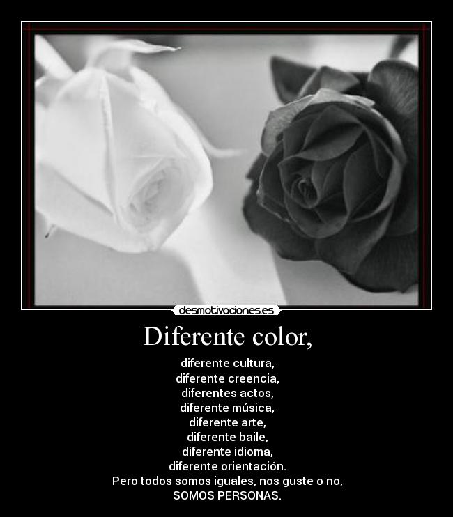 Diferente color, - diferente cultura,
diferente creencia,
diferentes actos,
diferente música,
diferente arte,
diferente baile,
diferente idioma,
diferente orientación.
Pero todos somos iguales, nos guste o no,
SOMOS PERSONAS.