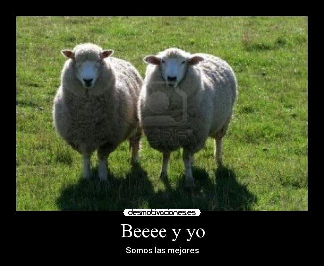 Beeee y yo - Somos las mejores