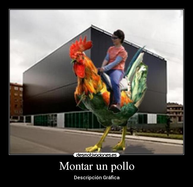 Montar un pollo -