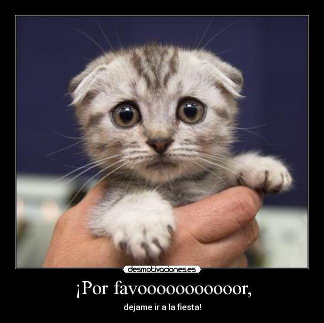 ¡Por favooooooooooor, - dejame ir a la fiesta!