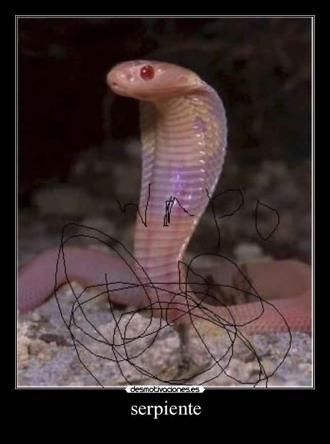 serpiente -