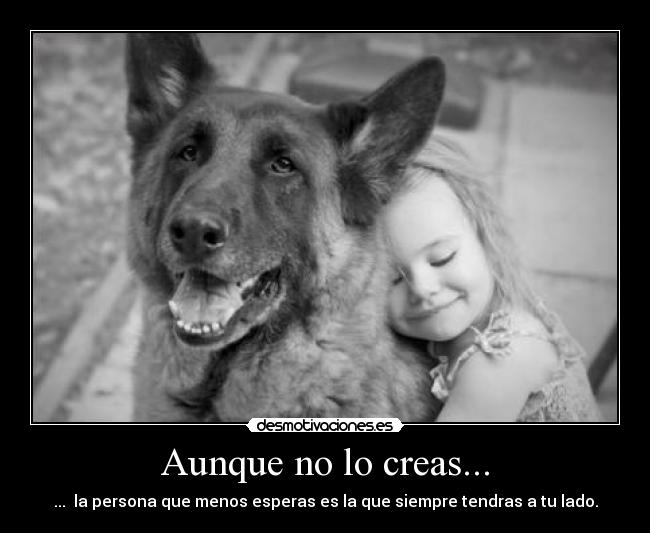 Aunque no lo creas... -