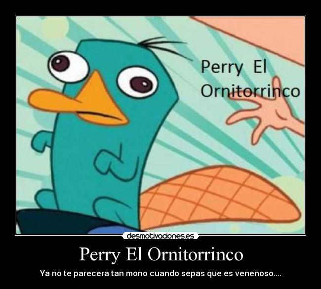 carteles ornitorrinco perry desmotivaciones